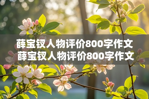 薛宝钗人物评价800字作文 薛宝钗人物评价800字作文高中