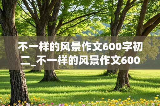 不一样的风景作文600字初二_不一样的风景作文600字初二下册