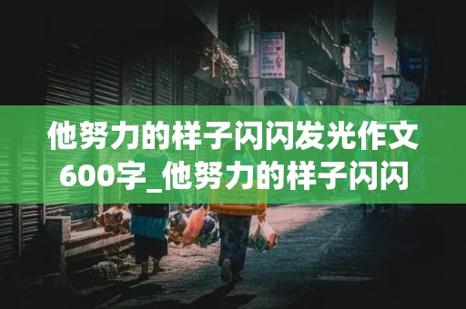 他努力的样子闪闪发光作文600字_他努力的样子闪闪发光作文600字左右