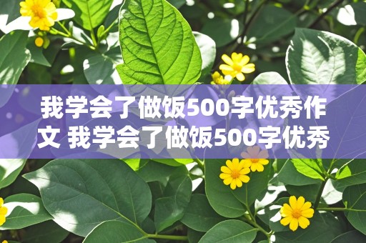 我学会了做饭500字优秀作文 我学会了做饭500字优秀作文四年级