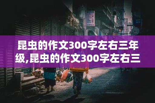 昆虫的作文300字左右三年级,昆虫的作文300字左右三年级蝴蝶