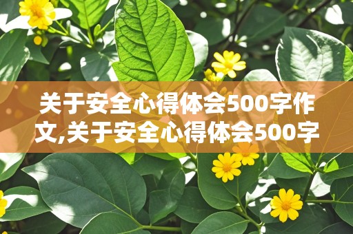 关于安全心得体会500字作文,关于安全心得体会500字作文怎么写