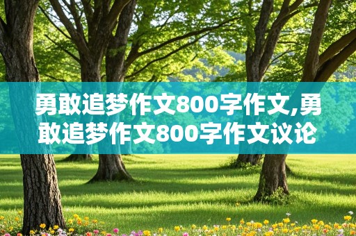 勇敢追梦作文800字作文,勇敢追梦作文800字作文议论文高中