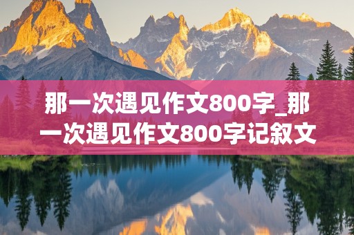 那一次遇见作文800字_那一次遇见作文800字记叙文