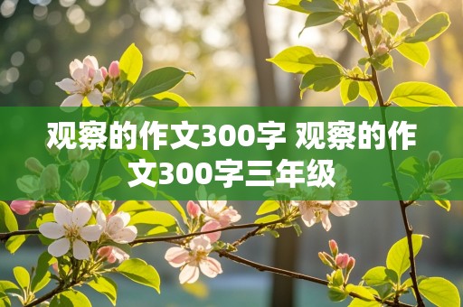 观察的作文300字 观察的作文300字三年级