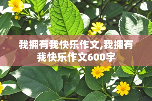 我拥有我快乐作文,我拥有我快乐作文600字