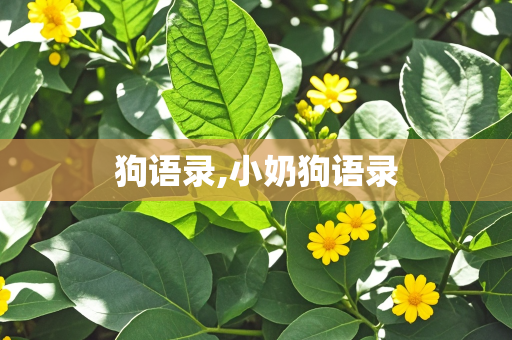 狗语录,小奶狗语录