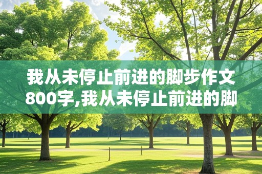 我从未停止前进的脚步作文800字,我从未停止前进的脚步作文800字记叙文