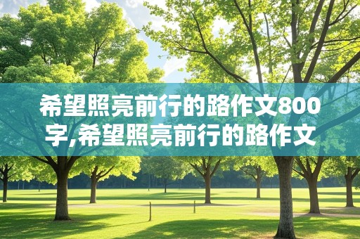 希望照亮前行的路作文800字,希望照亮前行的路作文800字记叙文