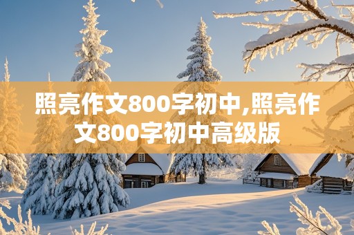 照亮作文800字初中,照亮作文800字初中高级版