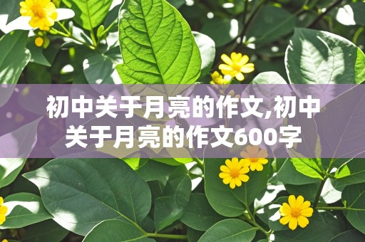 初中关于月亮的作文,初中关于月亮的作文600字