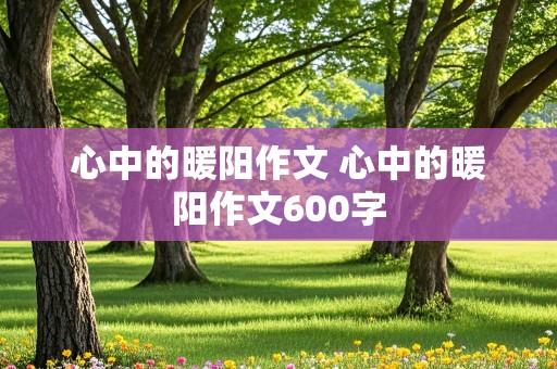 心中的暖阳作文 心中的暖阳作文600字