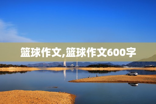 篮球作文,篮球作文600字