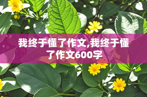 我终于懂了作文,我终于懂了作文600字