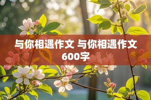 与你相遇作文 与你相遇作文600字