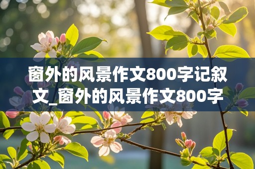 窗外的风景作文800字记叙文_窗外的风景作文800字记叙文初中