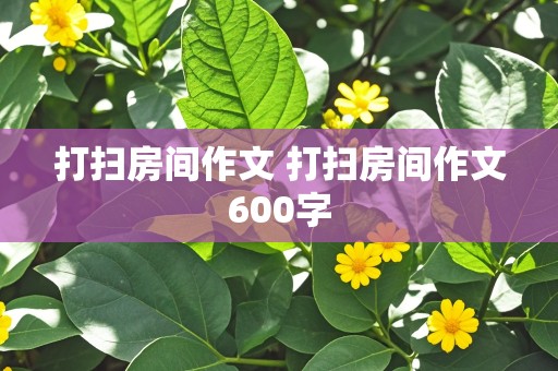 打扫房间作文 打扫房间作文600字