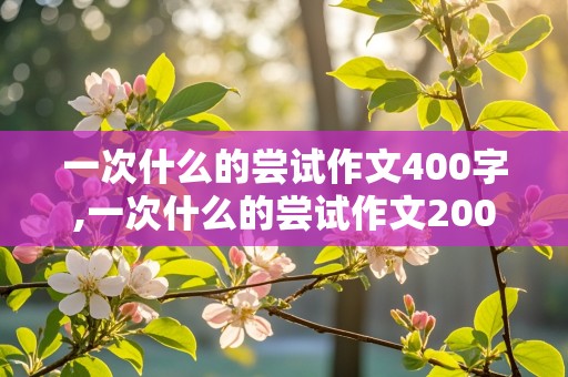 一次什么的尝试作文400字,一次什么的尝试作文200字作文