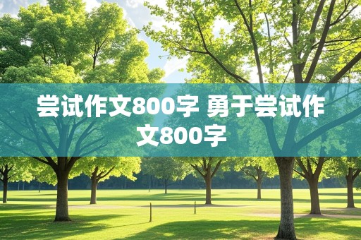 尝试作文800字 勇于尝试作文800字