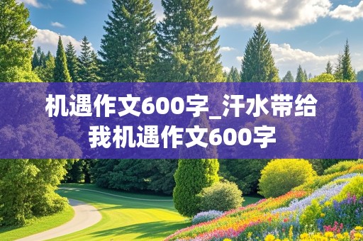 机遇作文600字_汗水带给我机遇作文600字