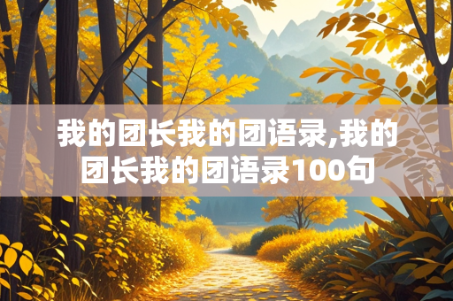 我的团长我的团语录,我的团长我的团语录100句