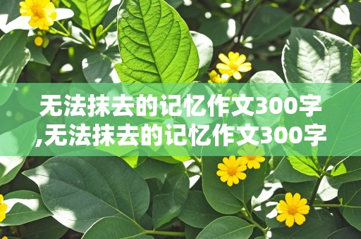 无法抹去的记忆作文300字,无法抹去的记忆作文300字左右