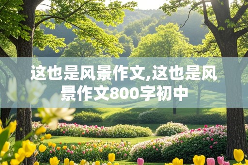 这也是风景作文,这也是风景作文800字初中