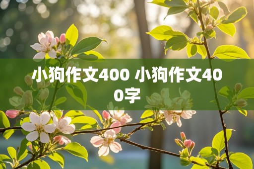 小狗作文400 小狗作文400字