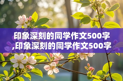 印象深刻的同学作文500字,印象深刻的同学作文500字左右