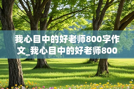 我心目中的好老师800字作文_我心目中的好老师800字作文高中