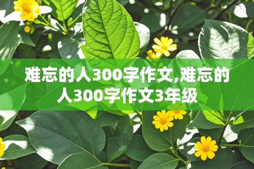 难忘的人300字作文,难忘的人300字作文3年级