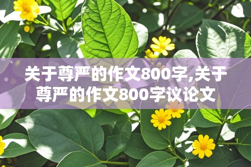 关于尊严的作文800字,关于尊严的作文800字议论文