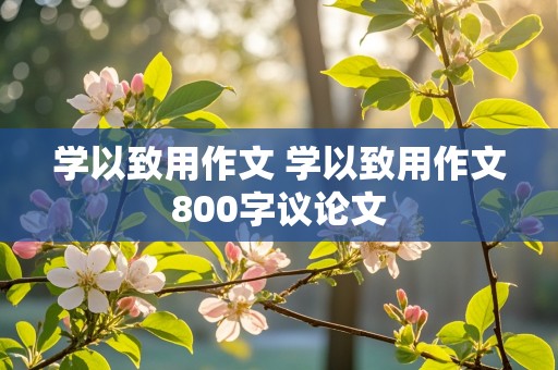 学以致用作文 学以致用作文800字议论文