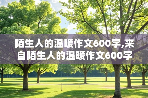 陌生人的温暖作文600字,来自陌生人的温暖作文600字