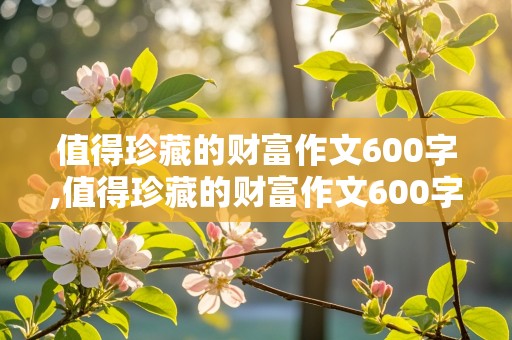 值得珍藏的财富作文600字,值得珍藏的财富作文600字初中