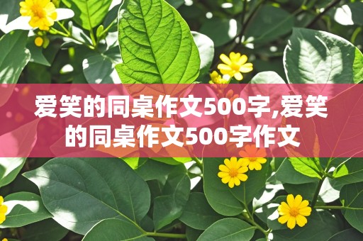 爱笑的同桌作文500字,爱笑的同桌作文500字作文