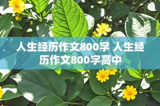 人生经历作文800字 人生经历作文800字高中