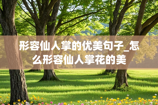 形容仙人掌的优美句子_怎么形容仙人掌花的美