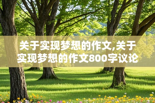 关于实现梦想的作文,关于实现梦想的作文800字议论文