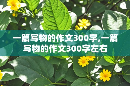 一篇写物的作文300字,一篇写物的作文300字左右