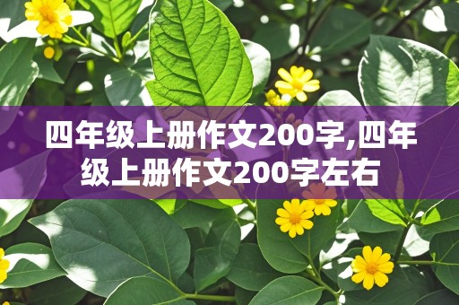 四年级上册作文200字,四年级上册作文200字左右