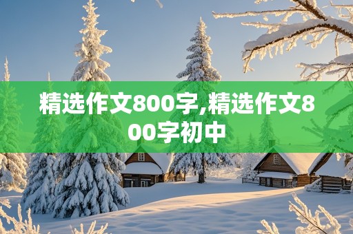 精选作文800字,精选作文800字初中