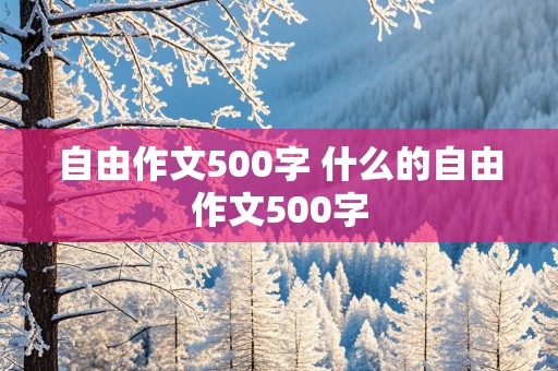 自由作文500字 什么的自由作文500字