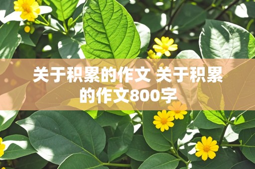 关于积累的作文 关于积累的作文800字