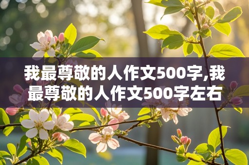 我最尊敬的人作文500字,我最尊敬的人作文500字左右