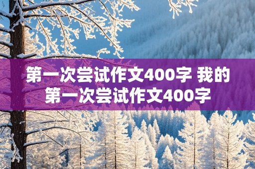 第一次尝试作文400字 我的第一次尝试作文400字