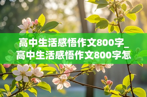 高中生活感悟作文800字_高中生活感悟作文800字怎么写