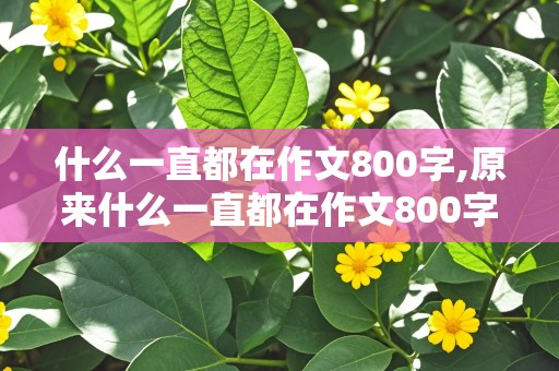 什么一直都在作文800字,原来什么一直都在作文800字