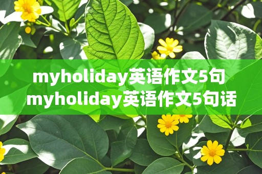 myholiday英语作文5句 myholiday英语作文5句话