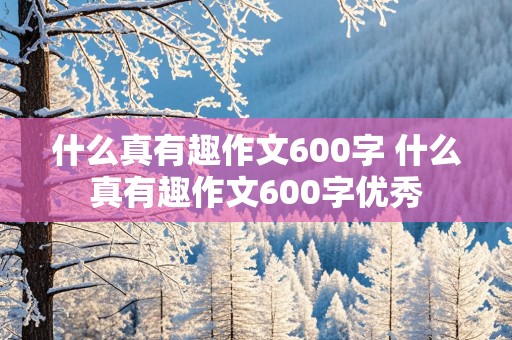 什么真有趣作文600字 什么真有趣作文600字优秀